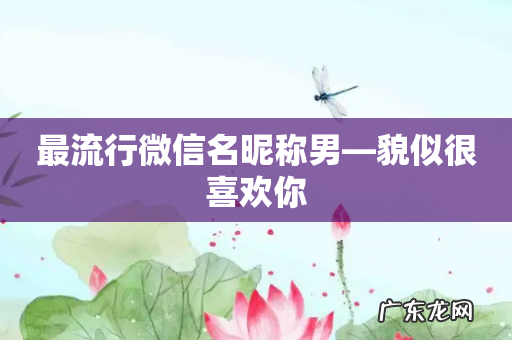 最流行微信名昵称男—貌似很喜欢你