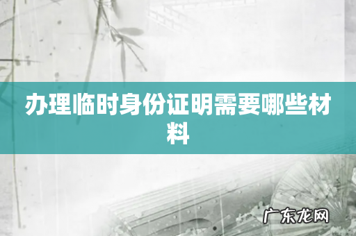 办理临时身份证明需要哪些材料