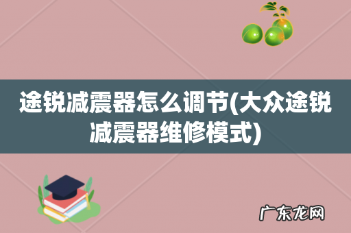 大众途锐减震器维修模式 途锐减震器怎么调节
