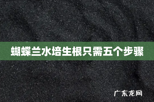 蝴蝶兰水培生根只需五个步骤