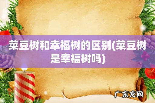 菜豆树是幸福树吗 菜豆树和幸福树的区别