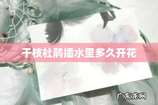 干枝杜鹃插水里多久开花