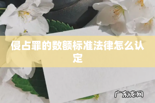 侵占罪的数额标准法律怎么认定