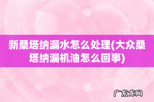 大众桑塔纳漏机油怎么回事 新桑塔纳漏水怎么处理