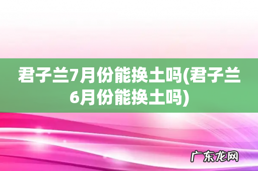 君子兰6月份能换土吗 君子兰7月份能换土吗
