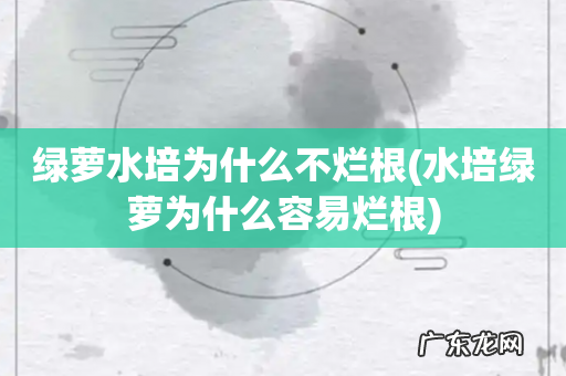 水培绿萝为什么容易烂根 绿萝水培为什么不烂根