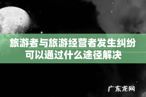 旅游者与旅游经营者发生纠纷可以通过什么途径解决
