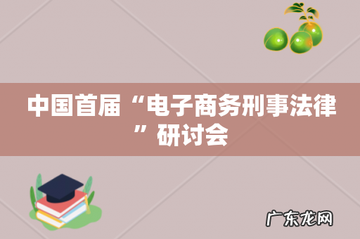 中国首届“电子商务刑事法律”研讨会