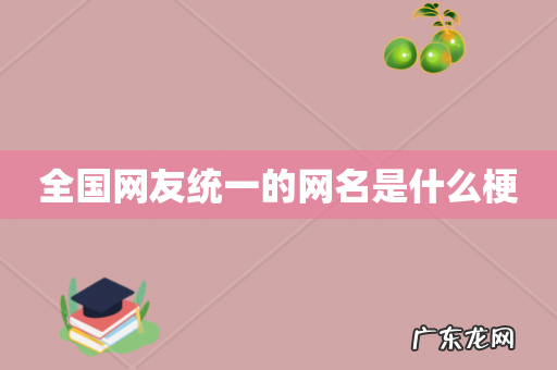 全国网友统一的网名是什么梗