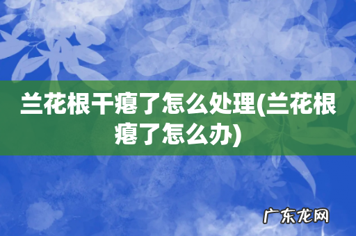 兰花根瘪了怎么办 兰花根干瘪了怎么处理