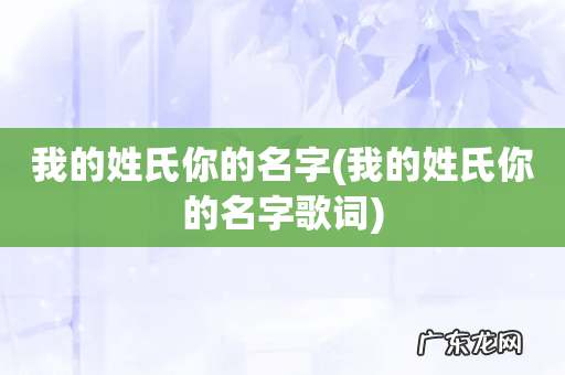 我的姓氏你的名字歌词 我的姓氏你的名字