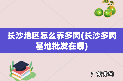 长沙多肉基地批发在哪 长沙地区怎么养多肉