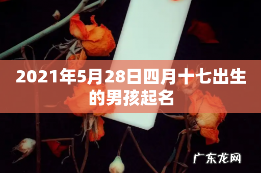 2021年5月28日四月十七出生的男孩起名