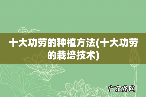 十大功劳的栽培技术 十大功劳的种植方法