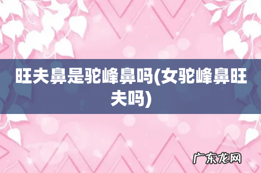 女驼峰鼻旺夫吗 旺夫鼻是驼峰鼻吗