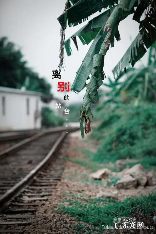 轻轻地我来了正如我轻轻地走 轻轻的我走了正如我轻轻的来了