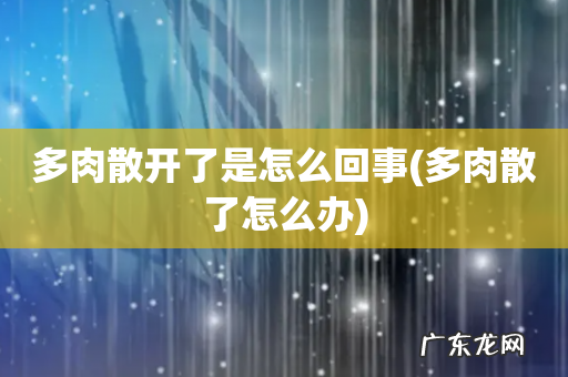 多肉散了怎么办 多肉散开了是怎么回事