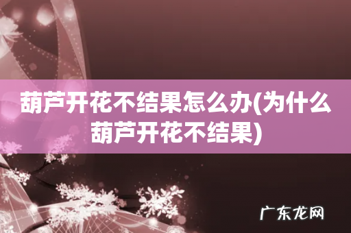 为什么葫芦开花不结果 葫芦开花不结果怎么办