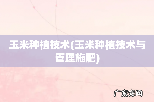 玉米种植技术与管理施肥 玉米种植技术