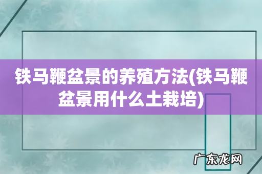 铁马鞭盆景用什么土栽培 铁马鞭盆景的养殖方法