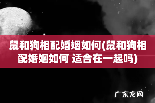 鼠和狗相配婚姻如何 适合在一起吗 鼠和狗相配婚姻如何