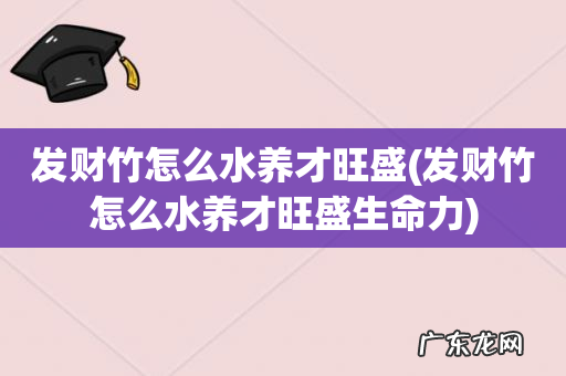 发财竹怎么水养才旺盛生命力 发财竹怎么水养才旺盛