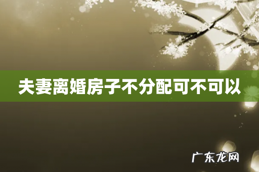 夫妻离婚房子不分配可不可以