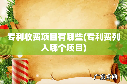 专利费列入哪个项目 专利收费项目有哪些