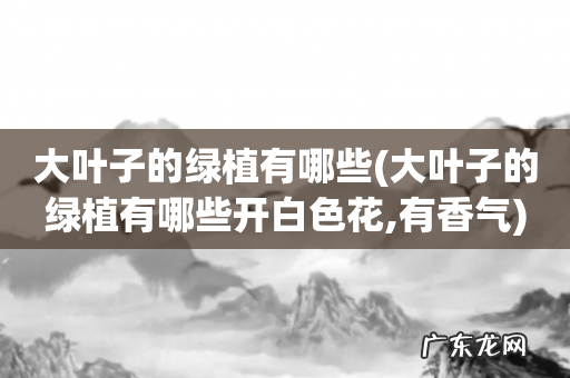 大叶子的绿植有哪些开白色花,有香气 大叶子的绿植有哪些