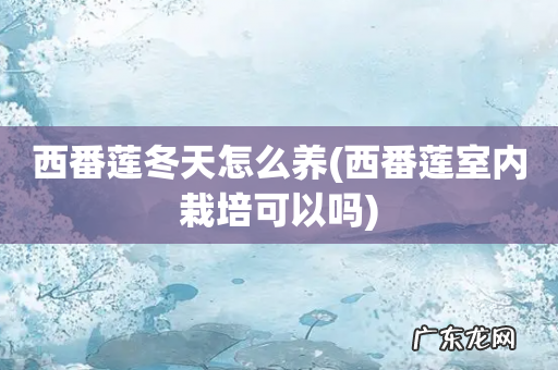西番莲室内栽培可以吗 西番莲冬天怎么养