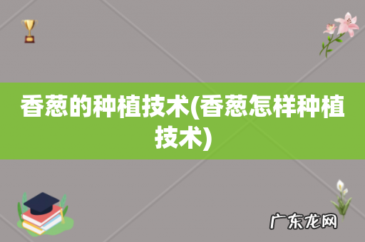 香葱怎样种植技术 香葱的种植技术