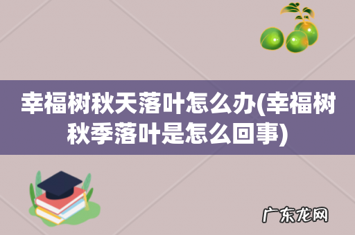 幸福树秋季落叶是怎么回事 幸福树秋天落叶怎么办