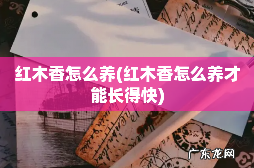 红木香怎么养才能长得快 红木香怎么养