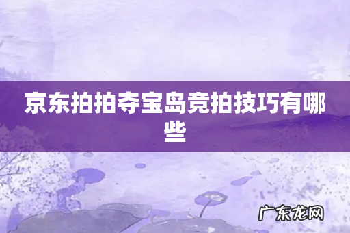 京东拍拍夺宝岛竞拍技巧有哪些
