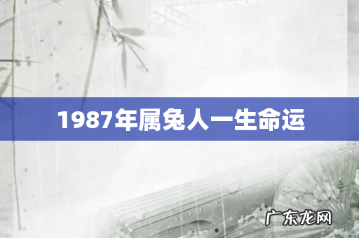 1987年属兔人一生命运