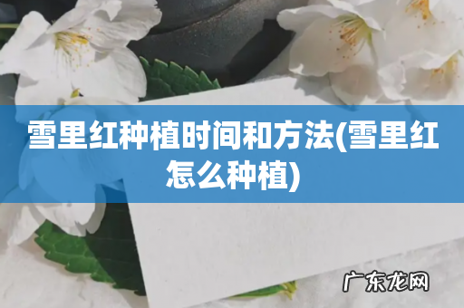 雪里红怎么种植 雪里红种植时间和方法
