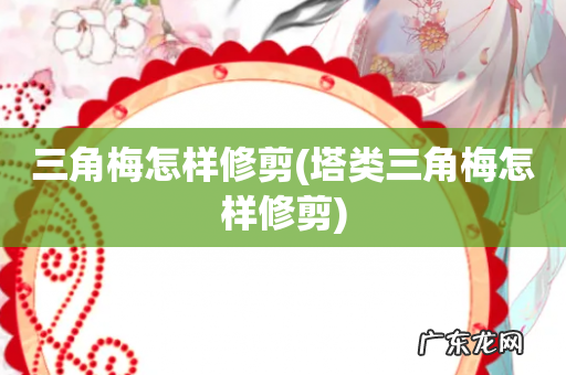 塔类三角梅怎样修剪 三角梅怎样修剪