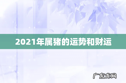 2021年属猪的运势和财运
