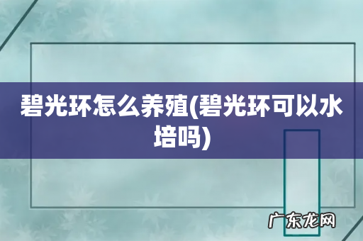 碧光环可以水培吗 碧光环怎么养殖