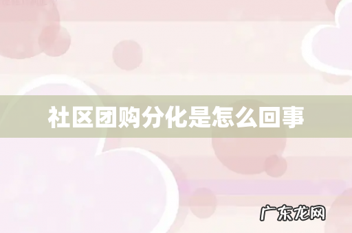 社区团购分化是怎么回事