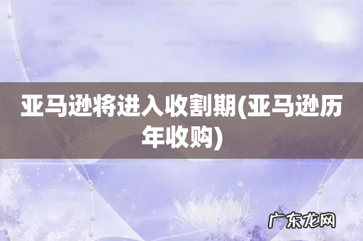 亚马逊历年收购 亚马逊将进入收割期