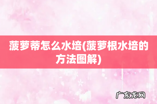 菠萝根水培的方法图解 菠萝蒂怎么水培