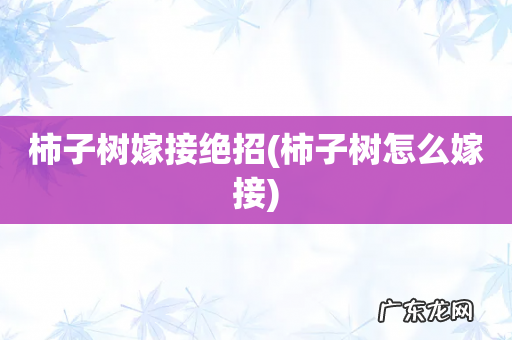 柿子树怎么嫁接 柿子树嫁接绝招