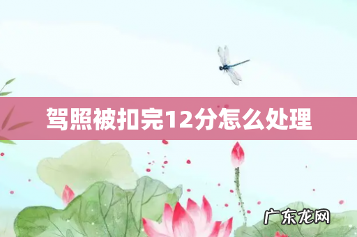 驾照被扣完12分怎么处理