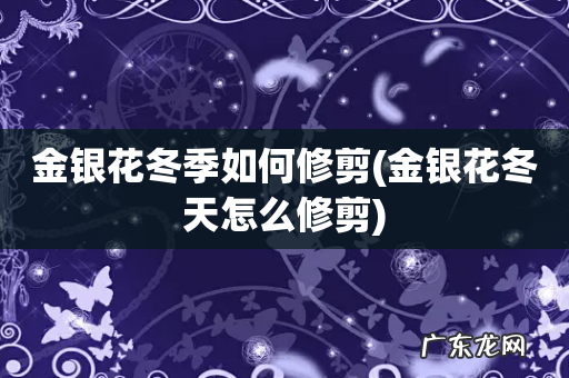 金银花冬天怎么修剪 金银花冬季如何修剪