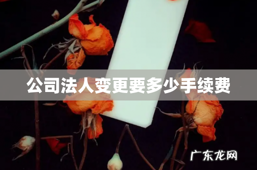 公司法人变更要多少手续费