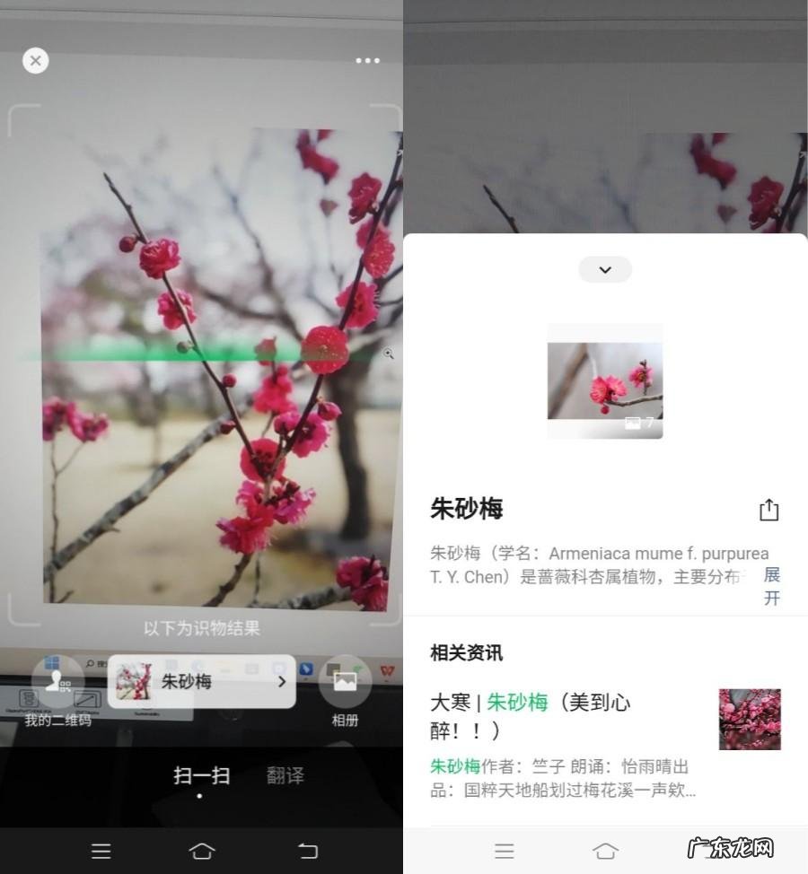 想不到！微信右上角“+”号，竟隐藏着这6个惊天大秘密