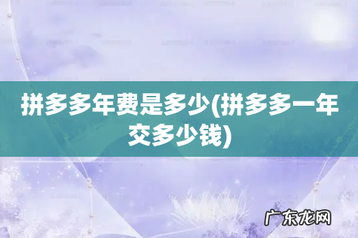 拼多多一年交多少钱 拼多多年费是多少