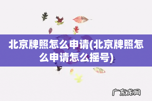 北京牌照怎么申请怎么摇号 北京牌照怎么申请