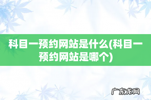 科目一预约网站是哪个 科目一预约网站是什么